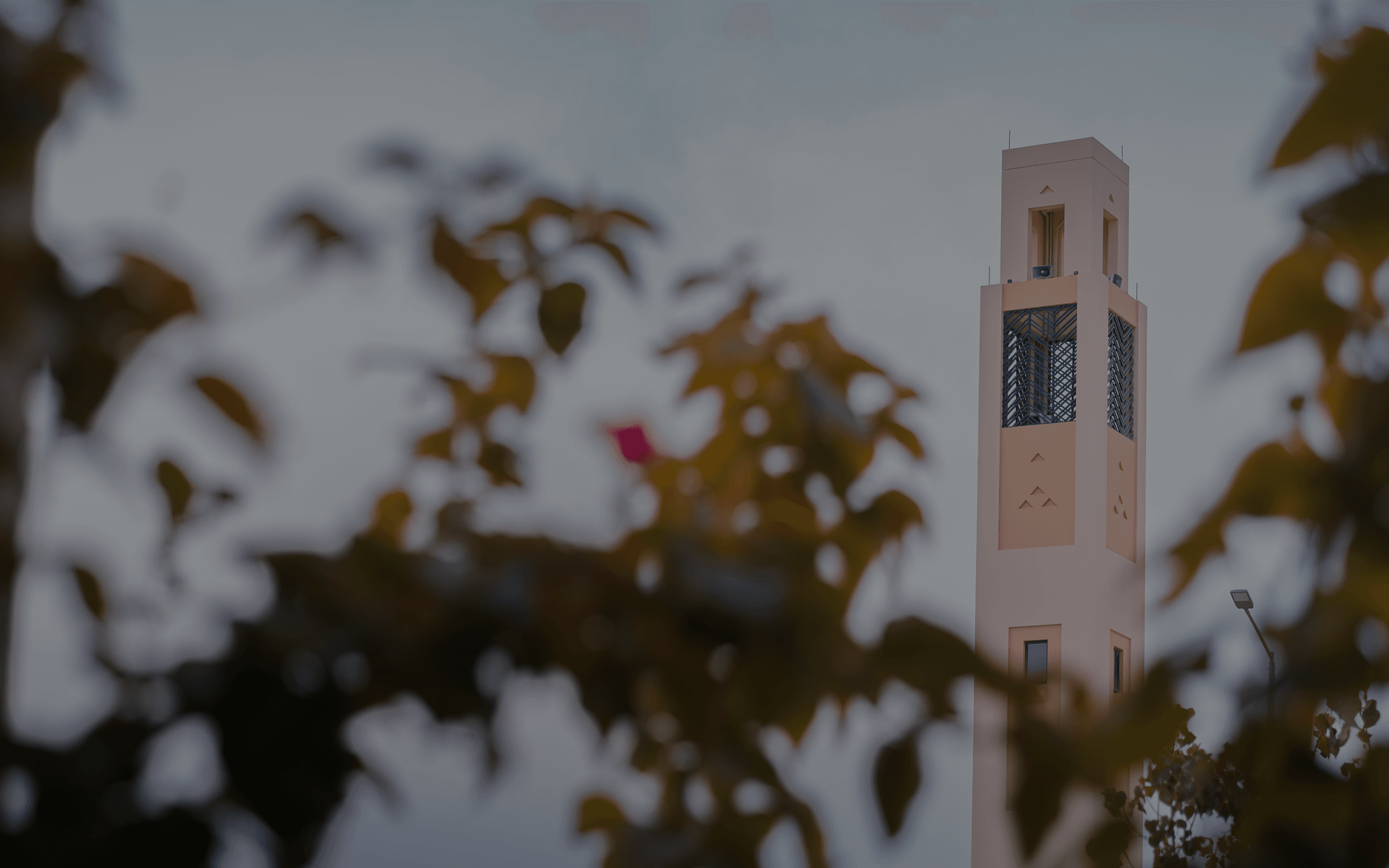 Main banner image