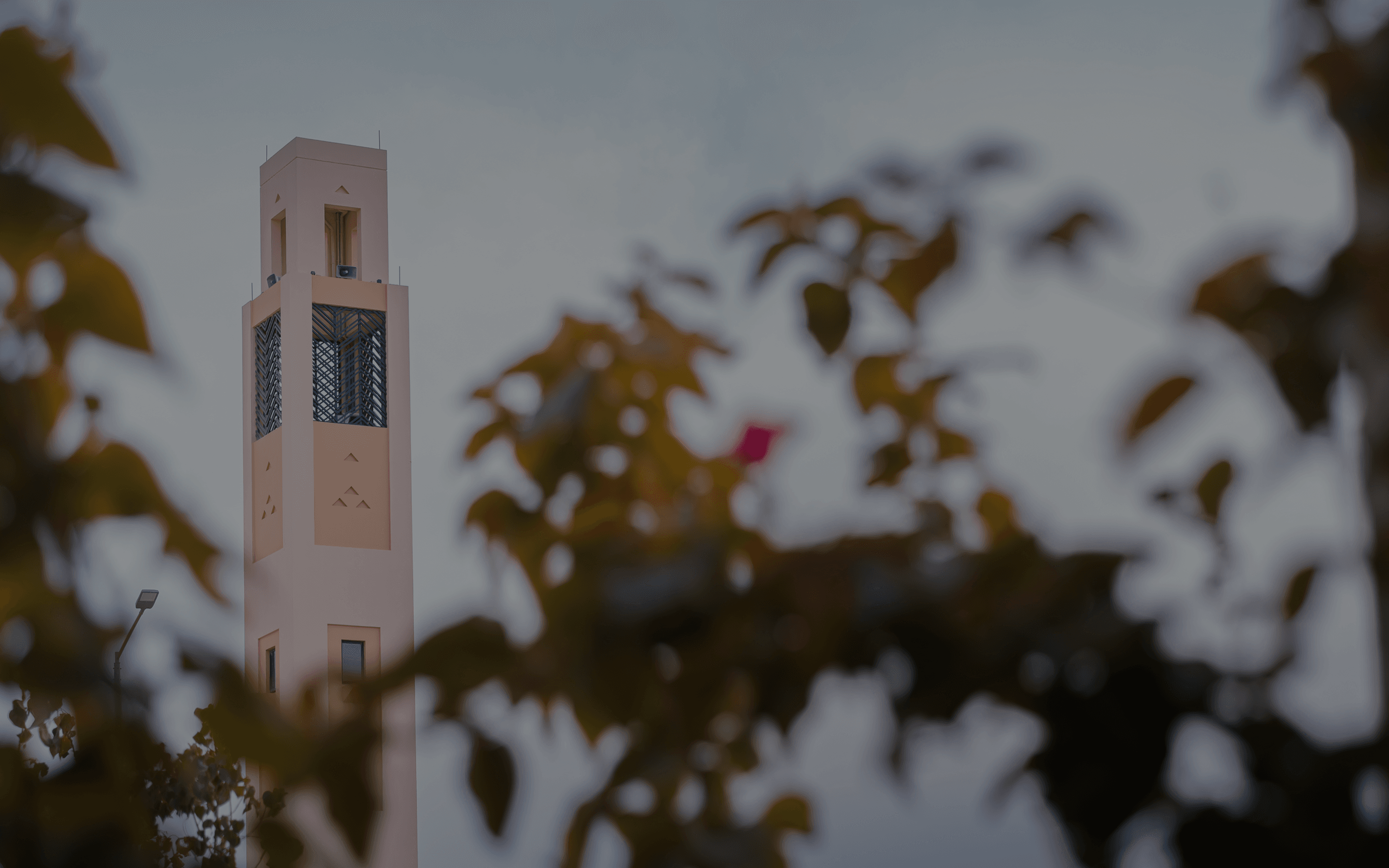 Main banner image